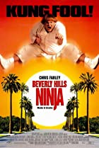 Beverly Hills Ninja 1997 Hindi Dubbed 480p 720p FilmyMeet